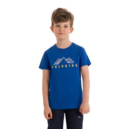 Boys Short Sleeve T-Shirt Majestic in Blue