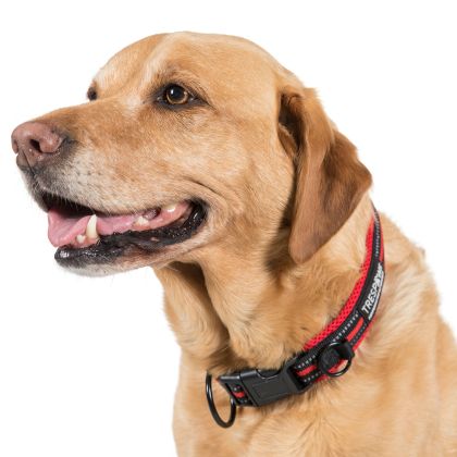 Trespaws Large SCOOBY DOG COLLAR POSTBOX RED